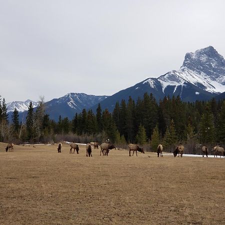 Enchanted Mountain Getaway Canmore Luaran gambar